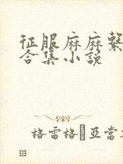 征服麻麻系列大合集小说