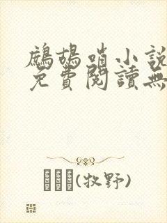 鹧鸪哨小说网站免费阅读无弹窗