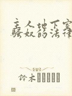 主人地下室惩罚骚奴的法律后果