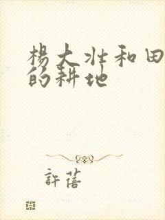 杨大壮和田桂花的耕地