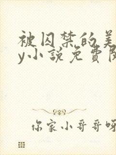 被囚禁的美人by小说免费阅读