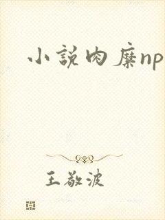 小说肉糜np