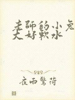 老师的小兔子好大好软水