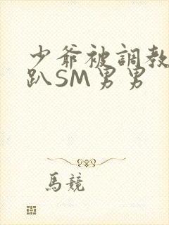 少爷被调教室跪趴SM男男