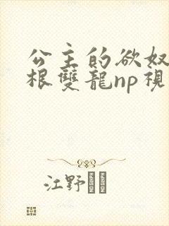 公主的欲奴h四根双龙np视频