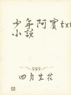 少年阿宾txt小说