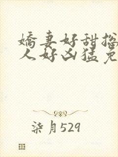 娇妻好甜总裁大人好凶猛免费小说