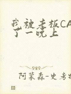 我被老板CAO了一晚上