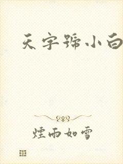 天字号小白脸