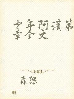 少年阿滨第13章全文