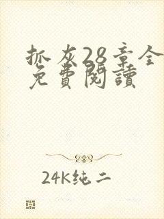 抓灰28章全部免费阅读