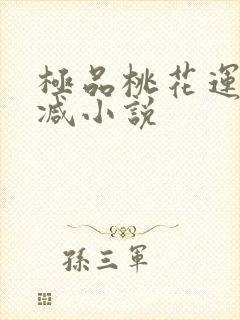 极品桃花运未删减小说