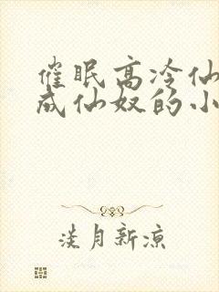 催眠高冷仙奴变成仙奴的小说