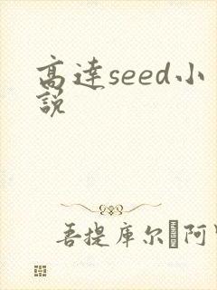 高达seed小说