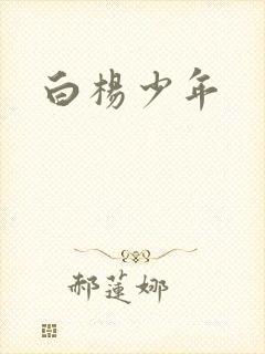 白杨少年
