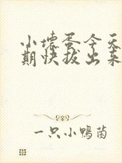 小坏蛋今天危险期快拔出来