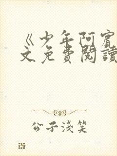 《少年阿宾》全文免费阅读