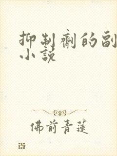 抑制剂的副作用小说