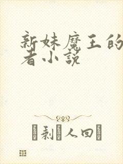 新妹魔王的契约者小说