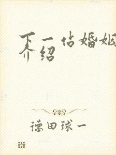 下一站婚姻剧情介绍