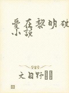 爱在黎明破晓前小说