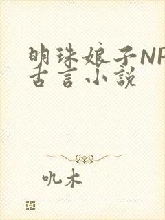 明珠娘子NPC古言小说