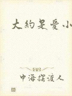 大约是爱小说