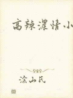 高辣浓情小说