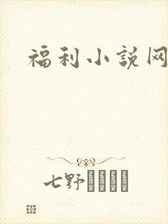 福利小说网