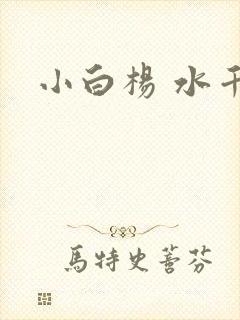 小白杨 水千丞