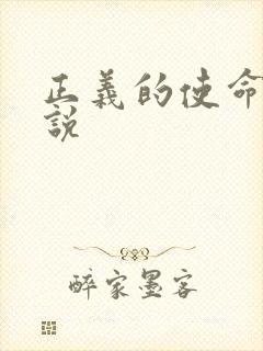 正义的使命 小说