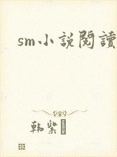 sm小说阅读