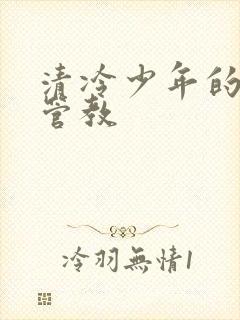清冷少年的严厉管教