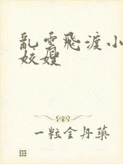 乱云飞渡小说之姣嫂