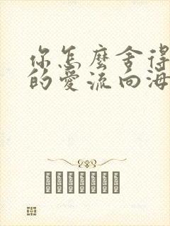 你怎么舍得让我的爱流向海