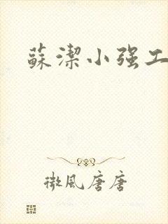 苏洁小强工地情