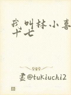 我叫林小喜今年十七