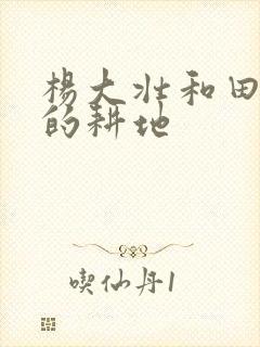 杨大壮和田桂花的耕地