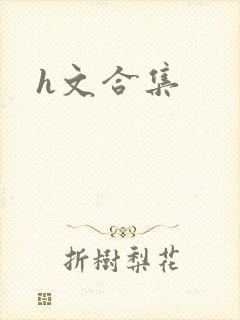 h文合集