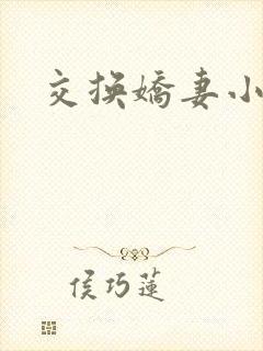 交换娇妻小说