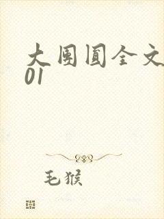 大团圆全文阅读01