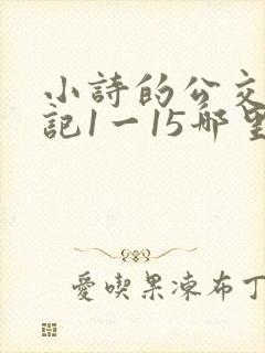 小诗的公交车日记1一15哪里能看