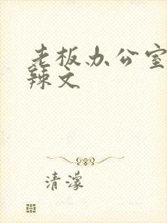 老板办公室系列辣文