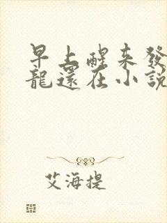 早上醒来发现巨龙还在小说