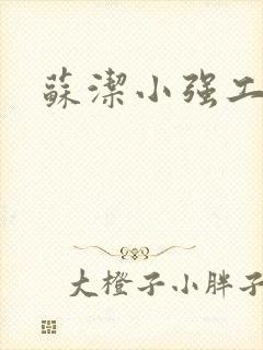 苏洁小强工地情