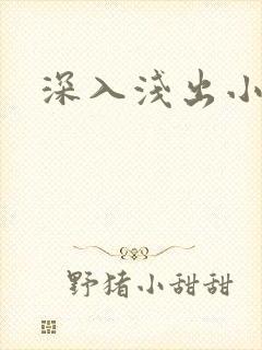 深入浅出小说