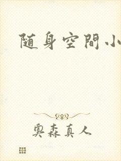 随身空间小说
