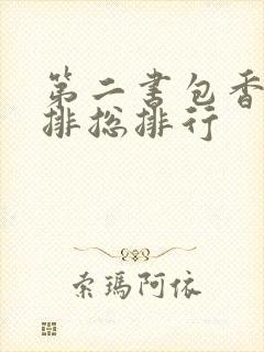 第二书包香辣肉排总排行