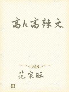 高h高辣文
