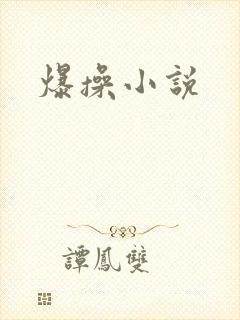 爆操小说